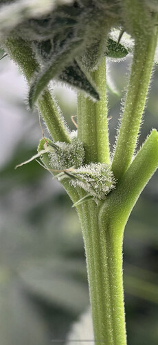 Growreport Bild 18