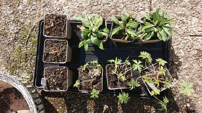 Growreport Bild 12