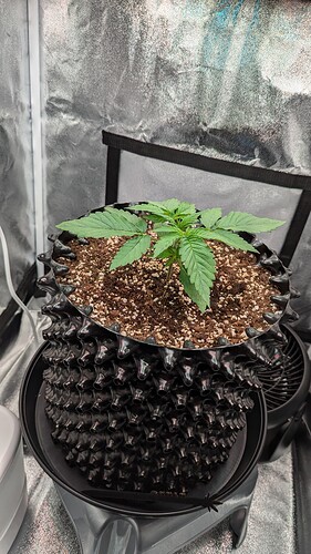 PXL_20240711_200711813.MP