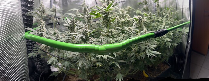 Growreport Bild 55