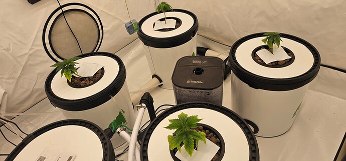 Growreport Bild 13