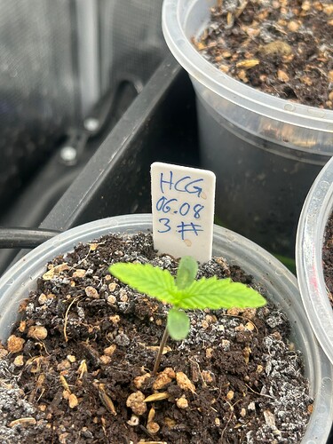 Growreport Bild 10