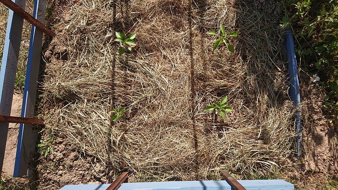 Growreport Bild 26