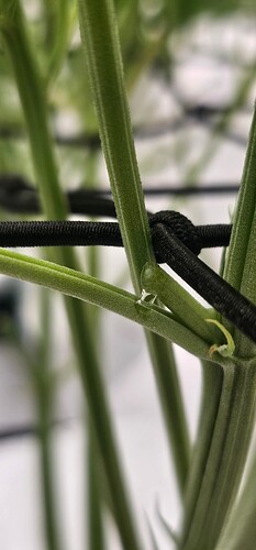 Growreport Bild 19