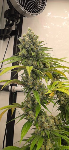 Growreport Bild 21