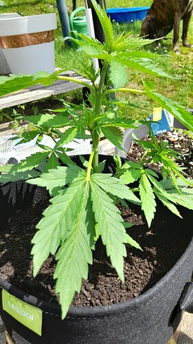 Growreport Bild 28
