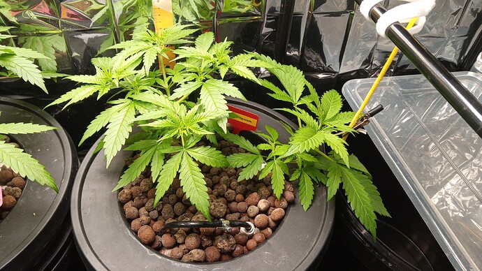 Growreport Bild 5