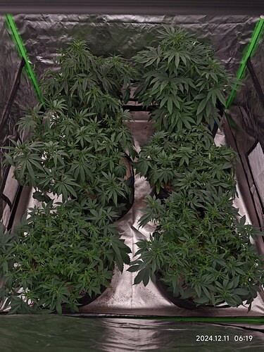 Growreport Bild 4
