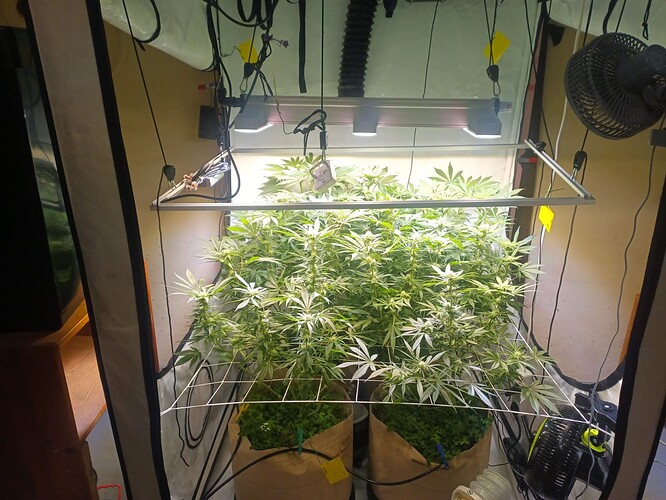 Bild_2024-05-19_142303133