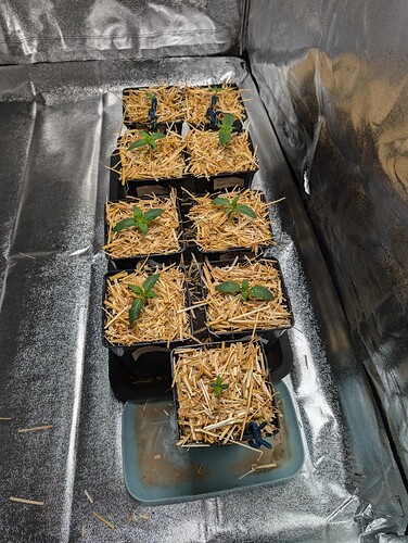 PXL_20240706_135142940