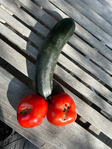 Growreport Bild 1