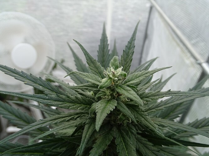 Growreport Bild 12