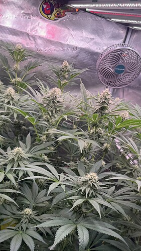 Growreport Bild 15