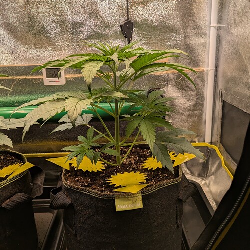 Growreport Bild 15