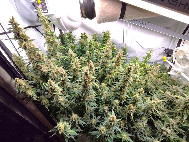 Growreport Bild 10