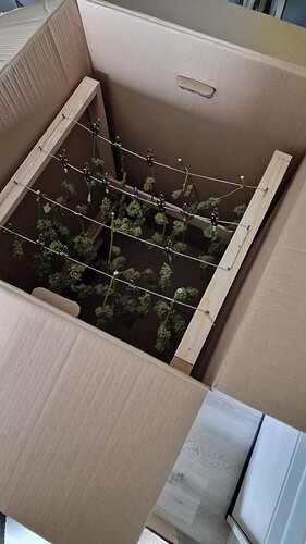 Growreport Bild 1