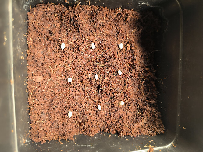 Growreport Bild 3