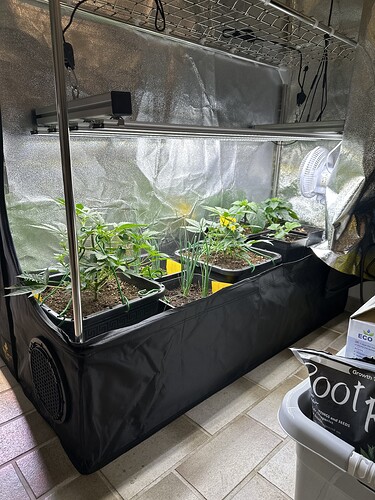 Growreport Bild 3