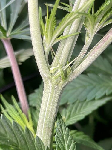 Growreport Bild 30
