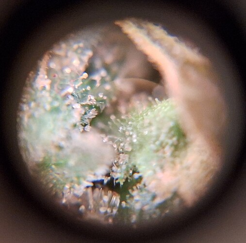 Growreport Bild 20
