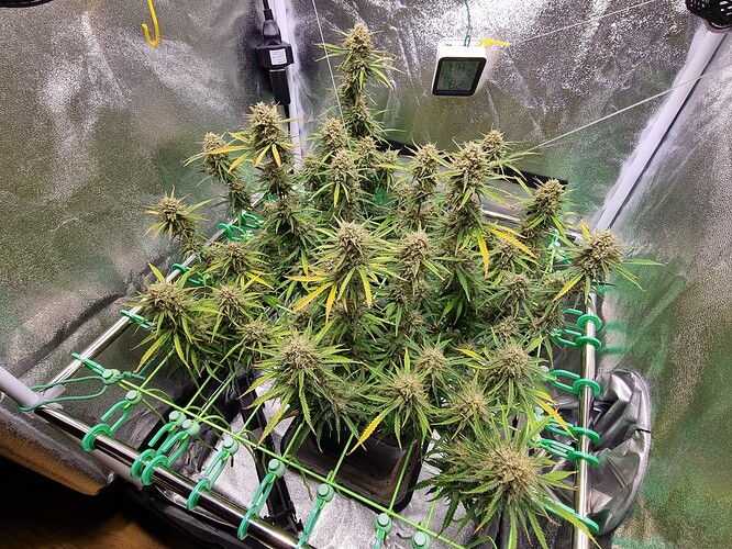Growreport Bild 13