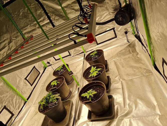 WhatsApp Bild 2024-05-15 um 11.17.37_c2934a26