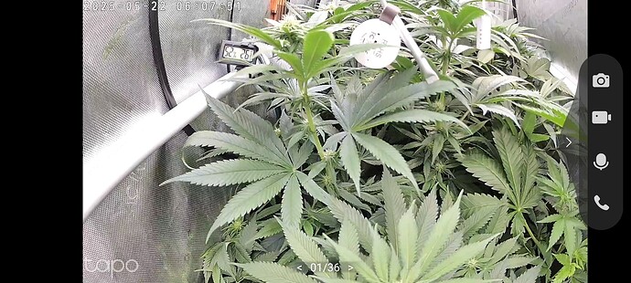 Growreport Bild 25