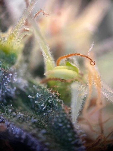 Growreport Bild 3