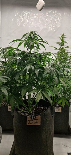 Growreport Bild 40