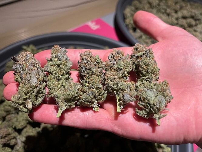 Growreport Bild 7