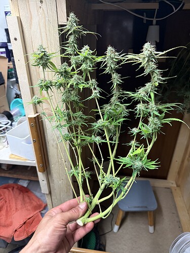 Growreport Bild 7
