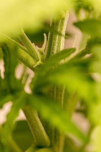 Growreport Bild 8