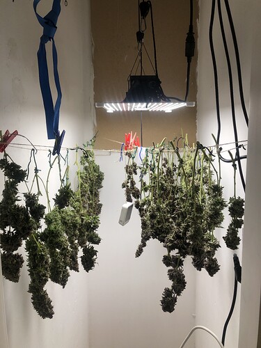 Growreport Bild 8