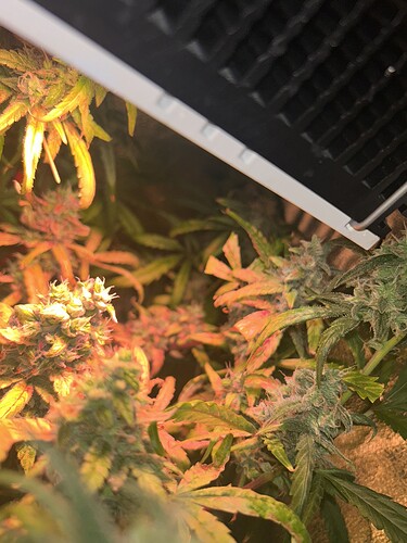 Growreport Bild 6