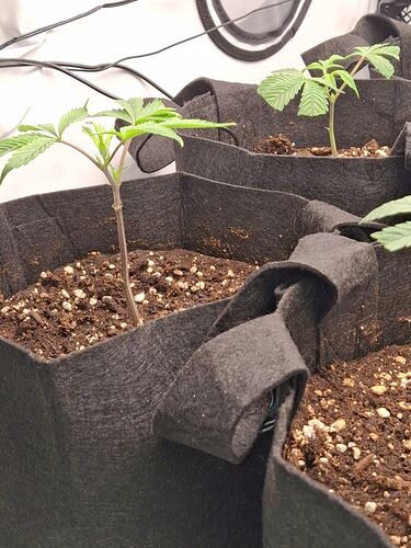 Growreport Bild 14