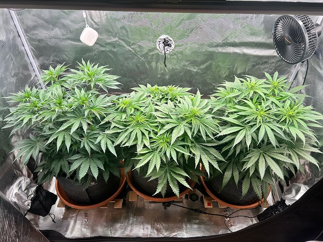 Growreport Bild 1