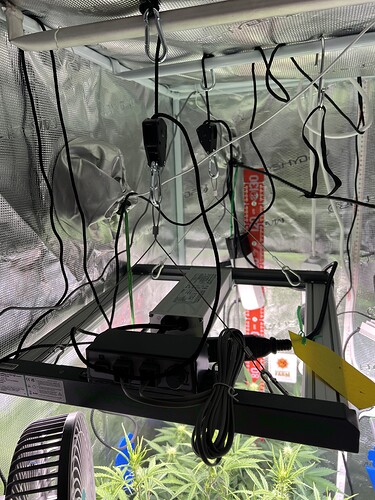 Growreport Bild 8