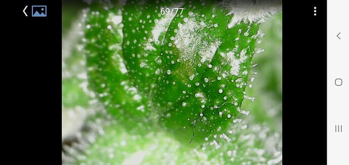 Cana66 Tage_06_BT33
