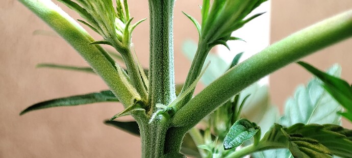 Growreport Bild 8