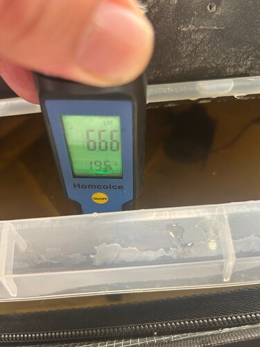 Growreport Bild 6