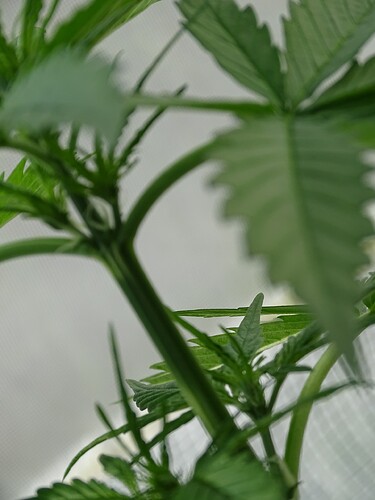 Growreport Bild 9