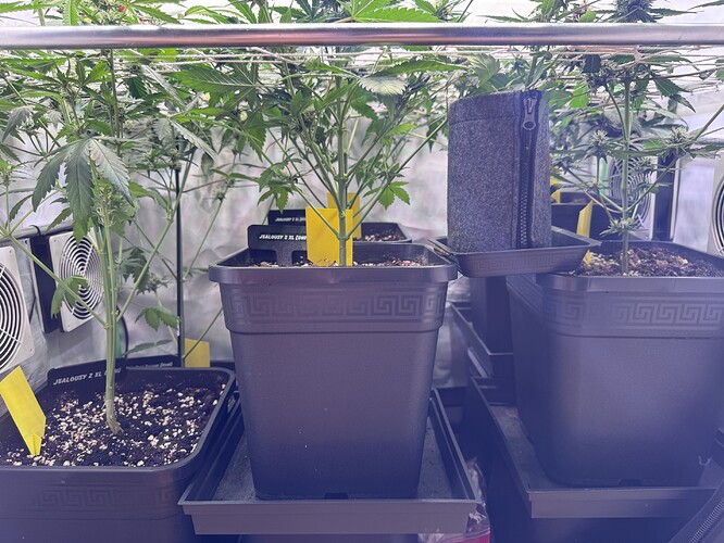 Growreport Bild 16
