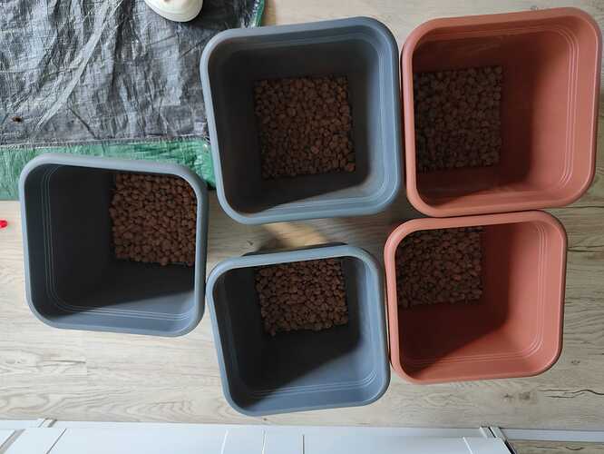 WhatsApp Image 2024-05-25 at 19.50.44