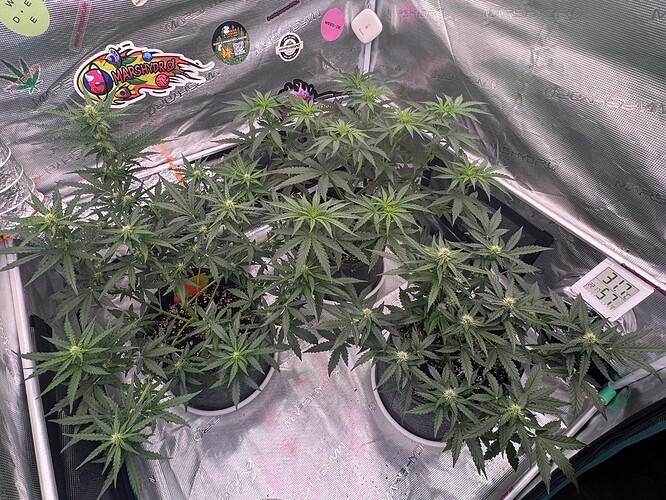 Growreport Bild 18