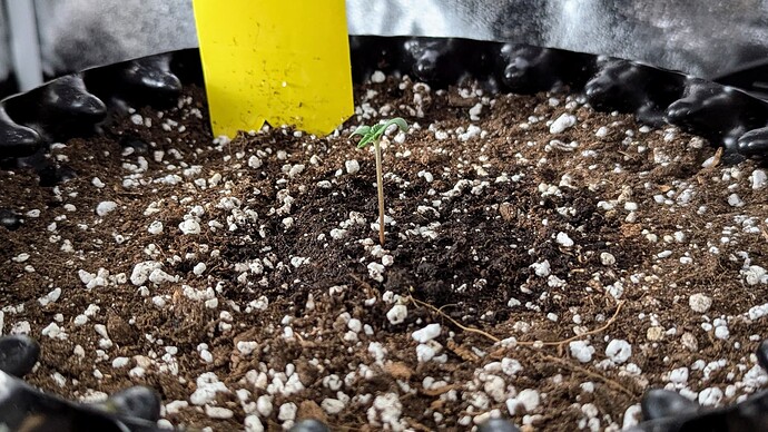 PXL_20240630_110337390.MP