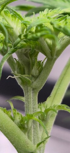 Growreport Bild 21
