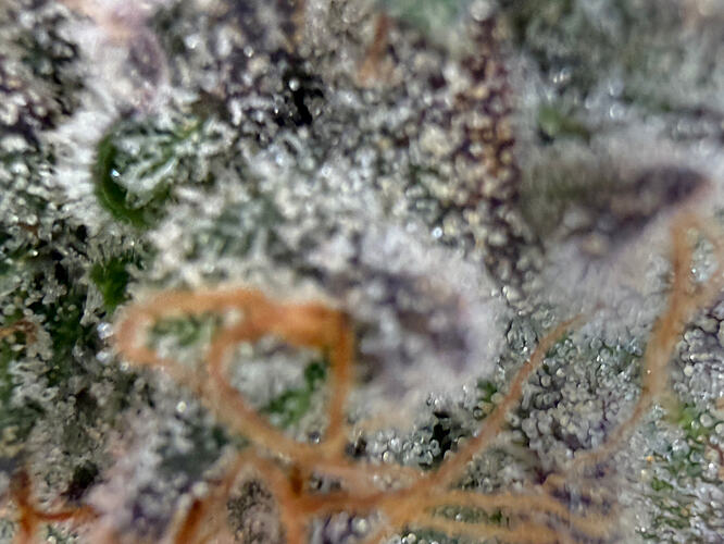 Growreport Bild 11