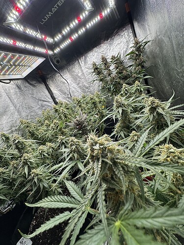 Growreport Bild 5