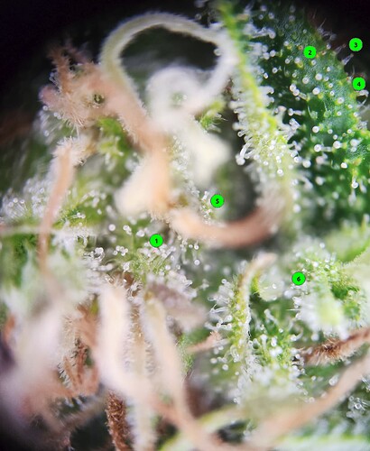 Growreport Bild 22