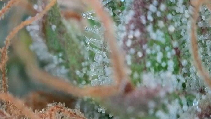 Growreport Bild 12